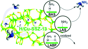 Graphical abstract: Revisiting NH3–catalyst interactions in Cu-SSZ-13 SCR catalysts: an in situ spectro-kinetics study