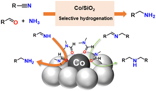 Graphical abstract: Primary amine synthesis by hydrogen-involving reactions over heterogeneous cobalt catalysts