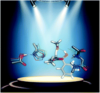 Graphical abstract: Morita–Baylis–Hillman reaction: how do optimal enzyme active sites compare with organocatalysts