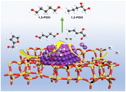 Graphical abstract: Ring-opening of furfuryl alcohol to pentanediol with extremely high selectivity over Cu/MFI catalysts with balanced Cu0–Cu+ and Brønsted acid sites