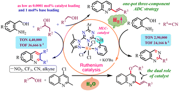 Graphical abstract: Ruthenium pincer complex catalyzed efficient synthesis of quinoline, 2-styrylquinoline and quinazoline derivatives via acceptorless dehydrogenative coupling reactions