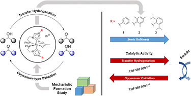 Graphical abstract: Abnormal NHC ruthenium catalysts: mechanistic investigations of their preparation and steric influence on catalytic performance