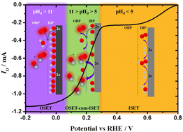 Graphical abstract: Effect of local pH change on non-PGM catalysts – a potential-dependent mechanistic analysis of the oxygen reduction reaction
