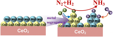 Graphical abstract: Enhanced ammonia synthesis performance of a ceria-supported bimetallic catalyst by changing Co and Mo segregation