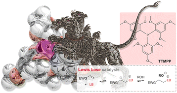 Graphical abstract: Tris(2,4,6-trimethoxyphenyl)phosphine – a Lewis base able to compete with phosphazene bases in catalysing oxa-Michael reactions