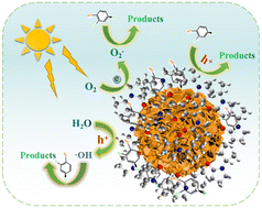 Graphical abstract: Advanced photocatalytic performance of PVP-modified BiOBr materials for the removal of 2,4-DCP and mechanism insight