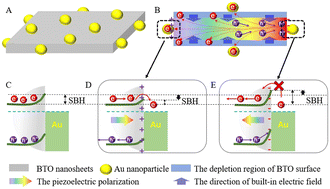 Graphical abstract: Cocatalyst engineering to weaken the charge screening effect over Au–Bi4Ti3O12 for piezocatalytic pure water splitting