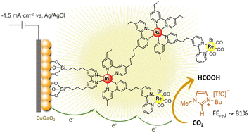 Graphical abstract: Solar-driven CO2 reduction catalysed by hybrid supramolecular photocathodes and enhanced by ionic liquids