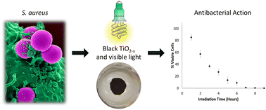 Graphical abstract: Photocatalytic disinfection of S. aureus using black TiO2−x under visible light