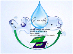 Graphical abstract: Role of water in dual-ionic pyrazolium salt promoted conversion of CO2 at atmospheric pressure and room temperature