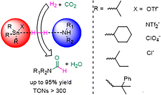 Graphical abstract: Tin-catalyzed reductive coupling of amines with CO2 and H2