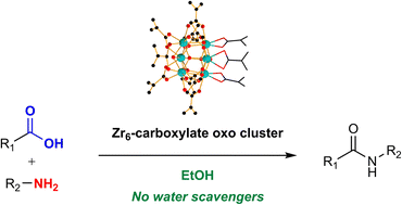 Graphical abstract: Dynamic environment at the Zr6 oxo cluster surface is key for the catalytic formation of amide bonds