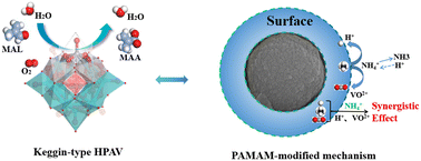 Graphical abstract: Dendritic polyamide-amine modified phosphomolybdovanadic hybrid microspheres as a catalyst for methacrolein to methacrylic acid