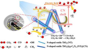 Graphical abstract: N-doped rutile TiO2 nanorod@g-C3N4 core/shell S-scheme heterojunctions for boosting CO2 photoreduction activity