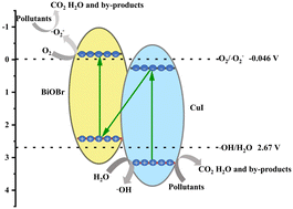 Graphical abstract: Construction of direct Z-scheme BiOBr/CuI heterojunction for boosting photocatalytic degradation of phenol