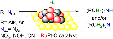 Graphical abstract: Intimate ruthenium–platinum nanoalloys supported on carbon catalyze the hydrogenation and one-pot hydrogenation-coupling reaction of oxidized amino derivatives