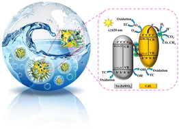 Graphical abstract: Synergistic effect of oxygen vacancies and Ni particles over the ZnWO4/CdS heterostructure for enhanced photocatalytic reduction and oxidation activities