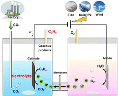 Graphical abstract: Effects of electrolytes on the electrochemical reduction of CO2 to C2H4: a mechanistic point of view