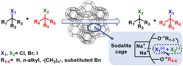 Graphical abstract: Zeolites catalyze the halogen exchange reaction of alkyl halides