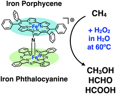 Graphical abstract: Evaluation of CH4 oxidation activity of high-valent iron-oxo species of a μ-nitrido-bridged heterodimer of iron porphycene and iron phthalocyanine