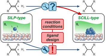 Graphical abstract: Wilkinson-type catalysts in ionic liquids for hydrogenation of small alkenes: understanding and improving catalyst stability