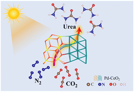 Graphical abstract: Photocatalytic C–N coupling towards urea synthesis with a palladium-supported CeO2 catalyst