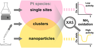 Graphical abstract: Structure sensitivity of alumina- and zeolite-supported platinum ammonia slip catalysts