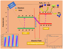 Graphical abstract: Synthesis of Z-schemes 0D–3D heterojunction bi-functional photocatalyst with ZnInCuS alloyed QDs supported BiOI MF for H2O2 production and N2 fixation