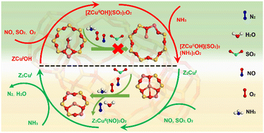 Graphical abstract: SO2-resistant NOx reduction over Cu-SAPO-34 catalysts via creating sulfur-phobic Cu sites