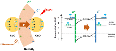 Graphical abstract: CuO/NaNbO3 nanorod piezoelectric photocatalysts promoted tetracycline removal: a dynamic internal electric field