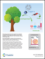 Graphical abstract: Inside back cover