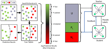 Graphical abstract: Materials synthesizability and stability prediction using a semi-supervised teacher-student dual neural network