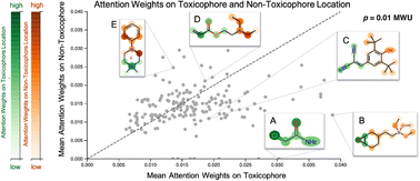 Graphical abstract: Chemical representation learning for toxicity prediction