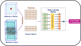 Graphical abstract: Deep learning models for the estimation of free energy of permeation of small molecules across lipid membranes