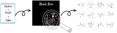 Graphical abstract: Generating structural alerts from toxicology datasets using the local interpretable model-agnostic explanations method