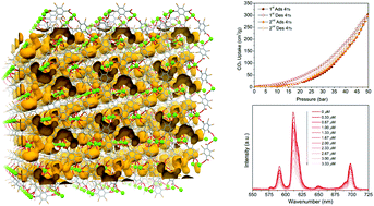 Graphical abstract: Four series of lanthanide coordination polymers based on the tetrabromobenzene-1,4-dicarboxylate ligand: structural diversity and multifunctional properties