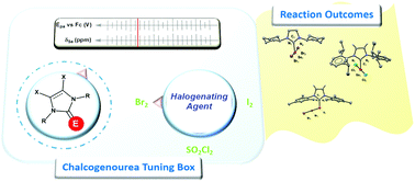 Graphical abstract: Reactions of N-heterocyclic carbene-based chalcogenoureas with halogens: a diverse range of outcomes