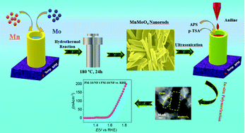 Graphical abstract: Polyaniline-wrapped MnMoO4 as an active catalyst for hydrogen production by electrochemical water splitting
