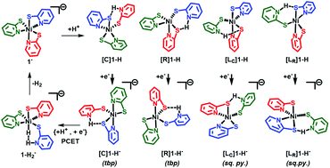 Graphical abstract: Computational investigation into intramolecular hydrogen bonding controlling the isomer formation and pKa of octahedral nickel(ii) proton reduction catalysts