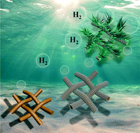 Graphical abstract: Copper mesh supported nickel nanowire array as a catalyst for the hydrogen evolution reaction in high current density water electrolysis