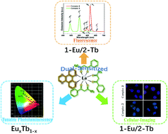 Graphical abstract: Dual-sensitized Eu(iii)/Tb(iii) complexes exhibiting tunable luminescence emission and their application in cellular-imaging