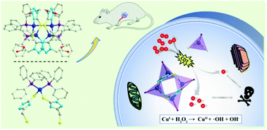 Graphical abstract: Rational construction of a triphenylphosphine-modified tetra-nuclear Cu(i) coordinated cluster for enhanced chemodynamic therapy