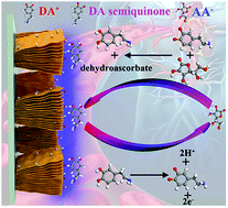 Graphical abstract: Ti3C2Tx (MXene)/Pt nanoparticle electrode for the accurate detection of DA coexisting with AA and UA