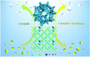 Graphical abstract: Boosting alkaline water splitting and the urea electrolysis kinetic process of a Co3O4 nanosheet by electronic structure modulation of F, P co-doping
