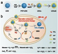 Graphical abstract: Copper peroxide coated upconversion nanoparticle modified with glucose oxidase for H2O2 self-supplying starvation-enhanced chemodynamic therapy in vitro