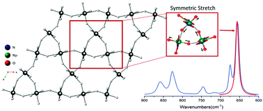 Graphical abstract: Use of vibrational spectroscopy to identify the formation of neptunyl–neptunyl interactions: a paired density functional theory and Raman spectroscopy study