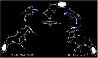 Graphical abstract: Cooperative B–H activation by Cp* based κ2-N,S-chelated Ru(ii) and Mo(ii) complexes (Cp* = η5-C5Me5)
