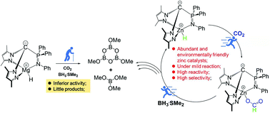 Graphical abstract: Hydroboration of CO2 catalyzed by heteroscorpionate zwitterionic zinc and magnesium hydride complexes