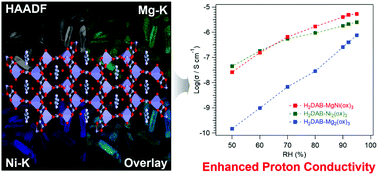 Graphical abstract: Significantly lowered activation energy in proton conductor by Mg substitution in a layered Ni metal–organic framework