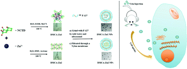 Graphical abstract: Two Zn(ii) coordination polymers with anticancer drug norcantharidin as ligands for cancer chemotherapy